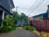 Banyak Pohon Tumbang Akibat Dari Hujan Deras Di Sertai Angin KencangÂ