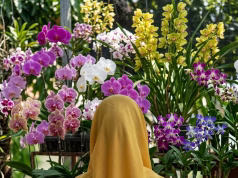 10 Sikap Perempuan Berkelas: Bukan Soal Uang, Melainkan Cara Membawa Diri