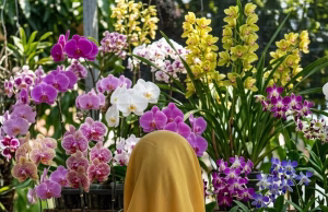 10 Sikap Perempuan Berkelas: Bukan Soal Uang, Melainkan Cara Membawa Diri